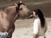 PremiÃ¨re du magnifique spectacle de Cavalia au Quartier dix-trente sous les chapiteaux - Aucune utilisation permise de cette image n\'est permise sans l\'autorisation Ã©crite du photographe - patrick@flashquebec.info