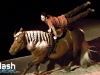 PremiÃ¨re du magnifique spectacle de Cavalia au Quartier dix-trente sous les chapiteaux - Aucune utilisation permise de cette image n\'est permise sans l\'autorisation Ã©crite du photographe - patrick@flashquebec.info