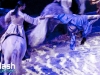 PremiÃ¨re du magnifique spectacle de Cavalia au Quartier dix-trente sous les chapiteaux - Aucune utilisation permise de cette image n\'est permise sans l\'autorisation Ã©crite du photographe - patrick@flashquebec.info