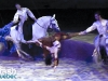 PremiÃ¨re du magnifique spectacle de Cavalia au Quartier dix-trente sous les chapiteaux - Aucune utilisation permise de cette image n\'est permise sans l\'autorisation Ã©crite du photographe - patrick@flashquebec.info