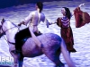 PremiÃ¨re du magnifique spectacle de Cavalia au Quartier dix-trente sous les chapiteaux - Aucune utilisation permise de cette image n\'est permise sans l\'autorisation Ã©crite du photographe - patrick@flashquebec.info