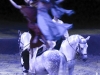PremiÃ¨re du magnifique spectacle de Cavalia au Quartier dix-trente sous les chapiteaux - Aucune utilisation permise de cette image n\'est permise sans l\'autorisation Ã©crite du photographe - patrick@flashquebec.info