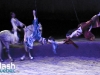 PremiÃ¨re du magnifique spectacle de Cavalia au Quartier dix-trente sous les chapiteaux - Aucune utilisation permise de cette image n\'est permise sans l\'autorisation Ã©crite du photographe - patrick@flashquebec.info