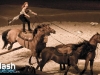 PremiÃ¨re du magnifique spectacle de Cavalia au Quartier dix-trente sous les chapiteaux - Aucune utilisation permise de cette image n'est permise sans l'autorisation Ã©crite du photographe - patrick@flashquebec.info