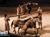 PremiÃ¨re du magnifique spectacle de Cavalia au Quartier dix-trente sous les chapiteaux - Aucune utilisation permise de cette image n'est permise sans l'autorisation Ã©crite du photographe - patrick@flashquebec.info