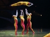 cirque_du_soleil_OVO_conf_de_presse_extraits48