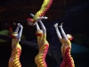 cirque_du_soleil_OVO_conf_de_presse_extraits50