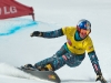 snowboard_jamboree_slalom_geant_20021122