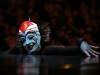 cirque_du_soleil_OVO_premiere_mondiale_06050934