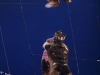 cirque_du_soleil_OVO_premiere_mondiale_06050943