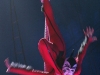 cirque_du_soleil_OVO_premiere_mondiale_06050948