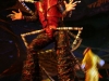cirque_du_soleil_OVO_premiere_mondiale_0605095