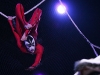 cirque_du_soleil_OVO_premiere_mondiale_06050953