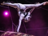 cirque_du_soleil_OVO_premiere_mondiale_06050954