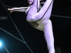cirque_du_soleil_OVO_premiere_mondiale_06050956