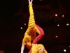 cirque_du_soleil_OVO_premiere_mondiale_06050959