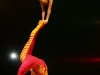 cirque_du_soleil_OVO_premiere_mondiale_06050960