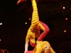 cirque_du_soleil_OVO_premiere_mondiale_06050961