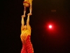 cirque_du_soleil_OVO_premiere_mondiale_06050962