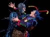 cirque_du_soleil_OVO_premiere_mondiale_06050982